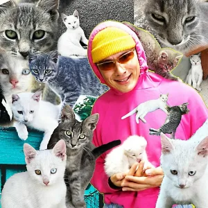 Holy Baam - Песня про котят (серега и кокос)