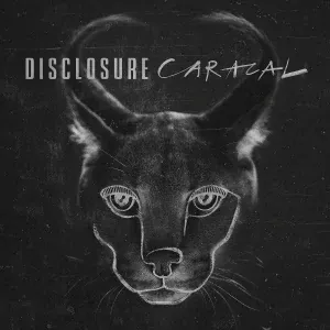 Disclosure - Echoes