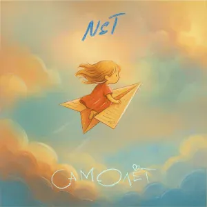 NST - Самолет