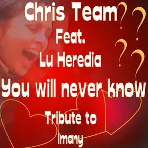 Chris Team feat. Lu Heredia - You Will Never Know (Dance Remix Karaoke Version)