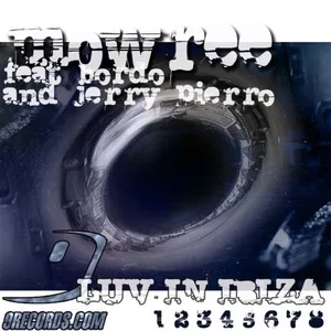 Mowree - Looking 4 (Electro House Mix)