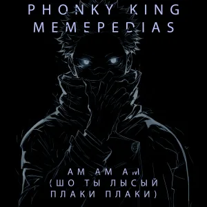 MEMEPEDIAS, PHONKY KING - АМ АМ АМ (ШО ТЫ ЛЫСЫЙ ПЛАКИ ПЛАКИ)