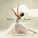 Konstantin Mortensen - Battement fondu in C Minor, ballet "Egyptien", Teil 1, variation Fille