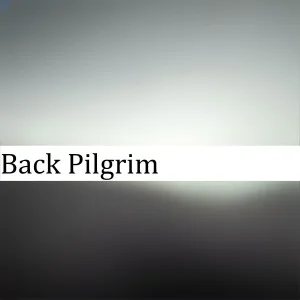 Pipikslav - Back Pilgrim
