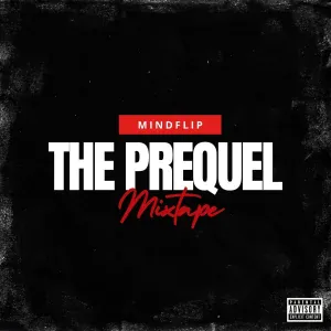 Mindflip - Fly