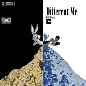 Bak$BunnY - Outro (Different Me)