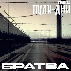 Группа Пули-Дни - Розенбауму