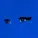 Allan Rayman - Amy