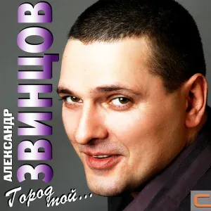Александр Звинцов - Черный ворон