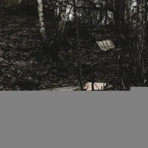 деанойс - весна