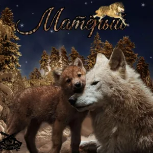 Мизантроп - Матёрый