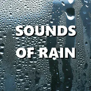 Deep Sleep - Vivid Dawn Rain Sounds
