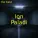 ION PALADI - BINE CA M-AM INSURAT