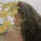 Sabrina Claudio - Messages From Her