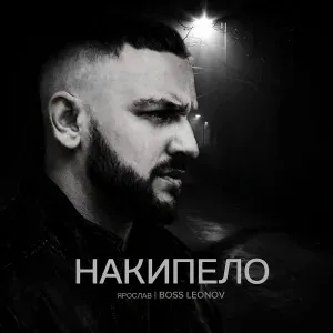 Ярослав Леонов - Накипело