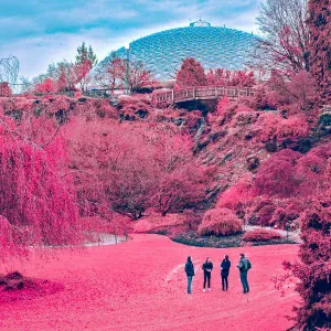 The Zolas - This Changes Everything