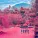 The Zolas - Why Do I Wait (When I Know You've Got a Lover)