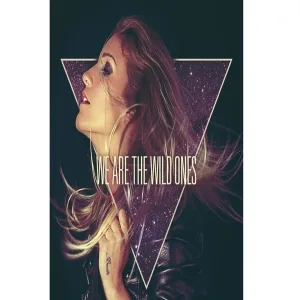 NINA - We Are The Wild Ones (Alex Zelenka vs Disco Reason)