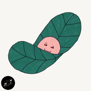TENDER - Afternoon