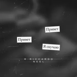 R.Riccardo, NEEL - Скучаю (Barabanov Remix)