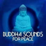 Buddha Sounds - Crystal Waters