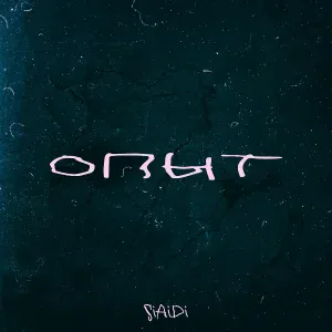SiAiDi - Приёмка
