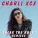 Charli XCX - Break the Rules