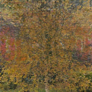 nordskol - улетаю