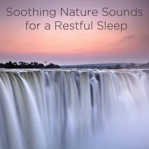 Nature Sounds - Moonlite Forest 4