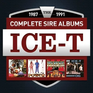Ice T - Evil E - What About Sex?