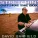 David Garfield feat. Larry Klimas, Terry Trotter, Robert Greenidge - My Favorite Things