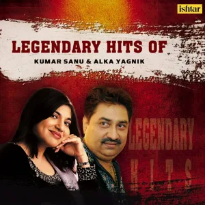 Kumar Sanu, Alka Yagnik - Ek Din Aap