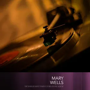 Mary Wells - Operator