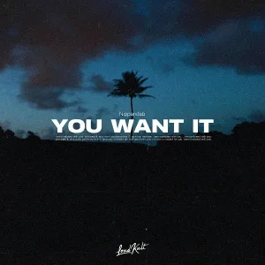 Nippandab - You Want It