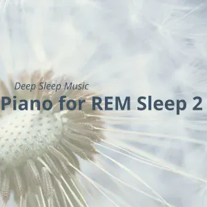Relax α Wave - Coma of Calm