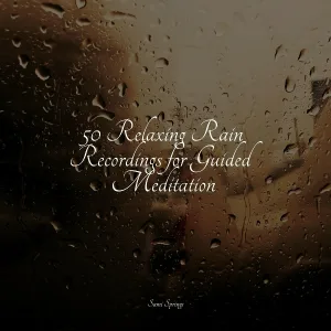 Thunder and Rain Storm, Nature Sounds, Loopable Rain Sounds - Thunder, Rains