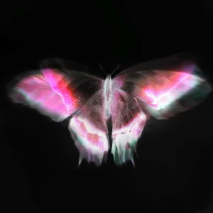 BLURRYFXCE - Buttercalm