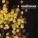 PHANTOGRAM - Mouthful of Diamonds