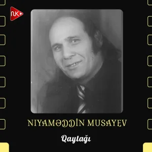 Niyaməddin Musayev - Qaytağı