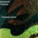 Дмитрий Гревцев - Горькие слова