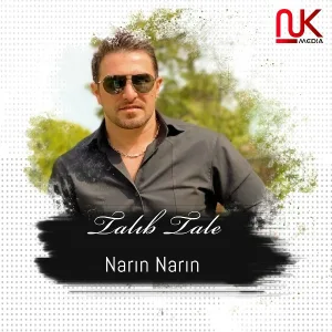 Talıb Tale feat. Şəbnəm Tovuzlu - Narın Narın