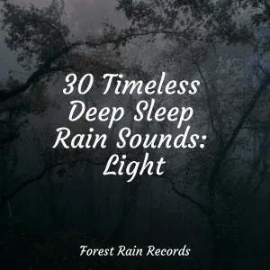 Sleep Meditation Dream Catcher, Música Zen Relaxante, Rain - Trickling Rains into Drains