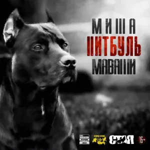 Миша Маваши - Чёрные цветы