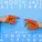Smooth Jazz All Stars - Just Chill