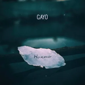 Gayo - Никто