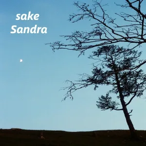 Sandra - treasury