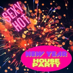 New Years Dance Party Dj - Sexy Hot Music