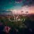 TRITICUM - Stars