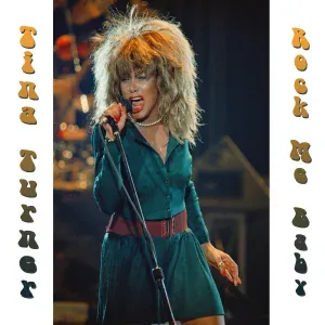 Tina Turner - Shake A Tail Feather