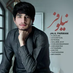 Jalil Parwani - Az Doori to Dil